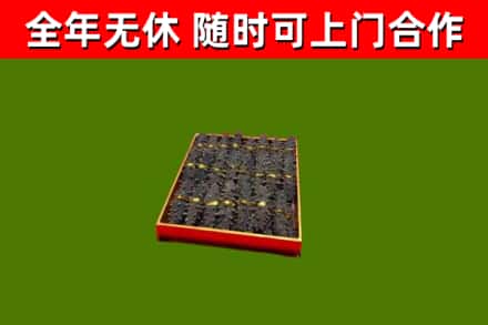 加格达奇回收海参